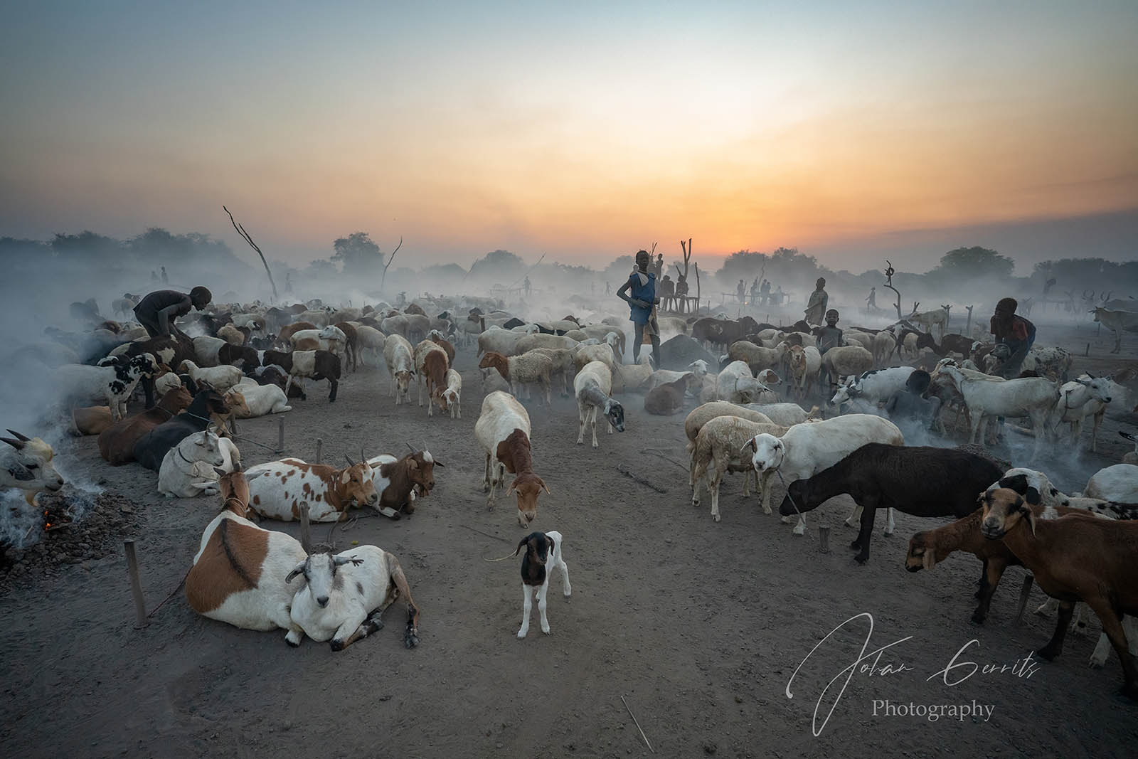 Mundari cattle camp in South Sudan
