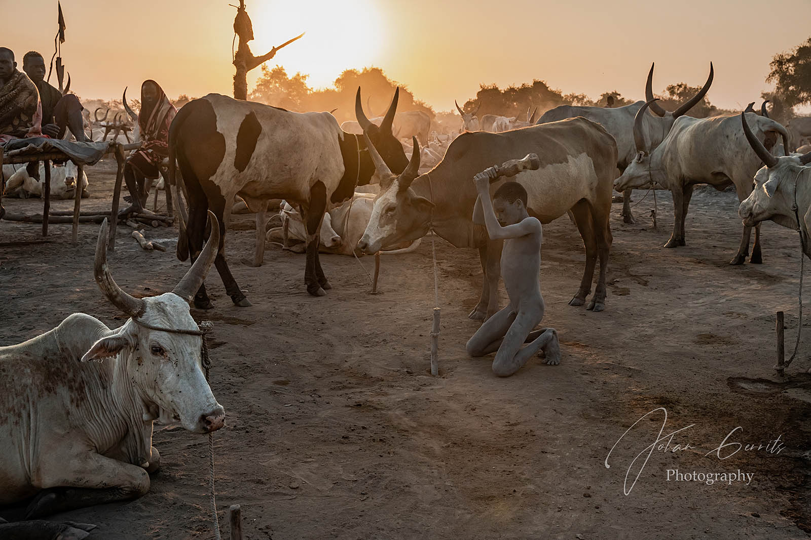 Mundari cattle camp in South Sudan