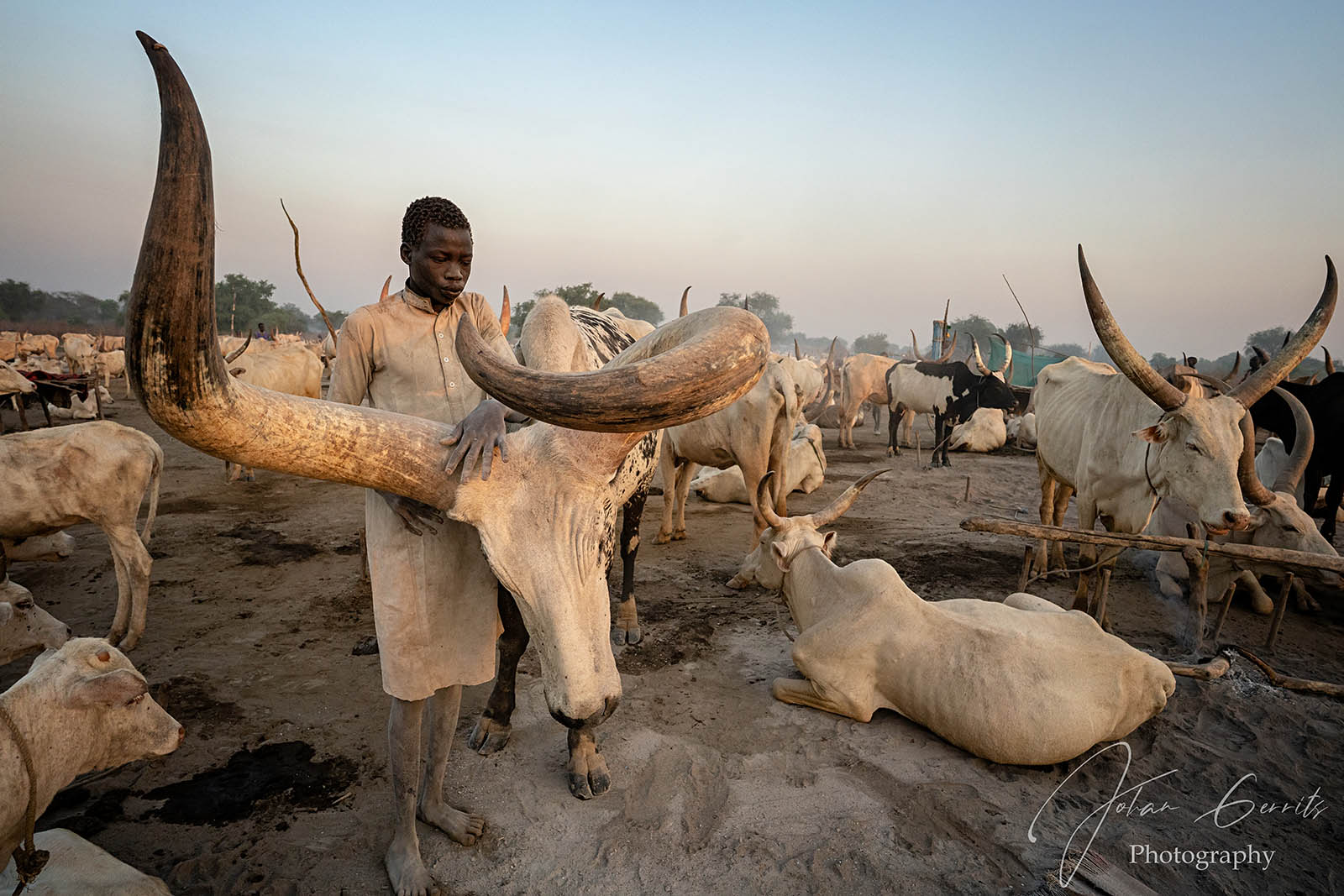 Mundari cattle camp in South Sudan