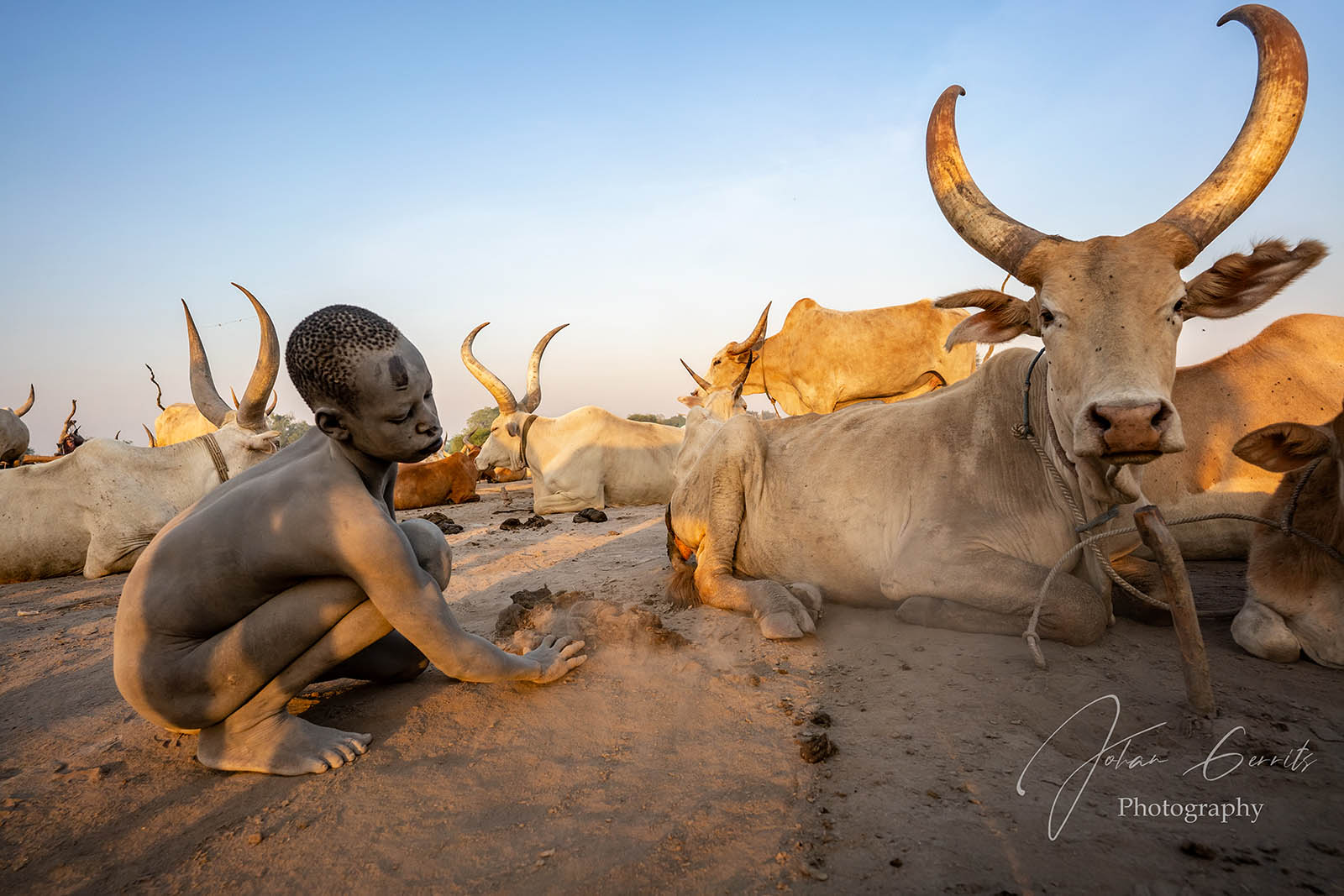 Mundari cattle camp in South Sudan