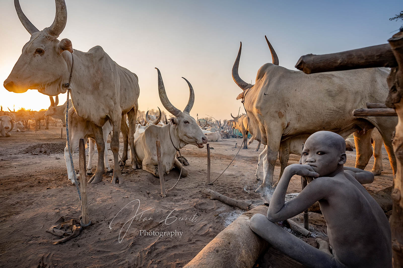 Mundari cattle camp in South Sudan