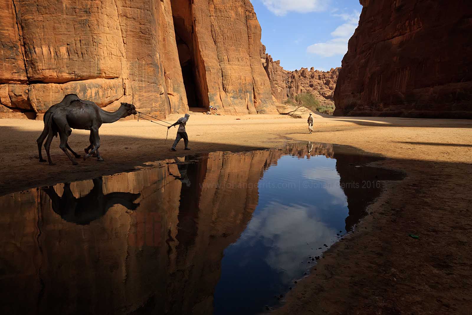 Tubu (Toubou) nomad with his camels in the Guelta d'Archei - Chad