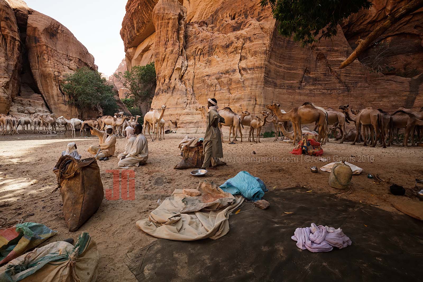Tubu (Toubou) nomads with their camels near the Guelta d'Archei - Chad