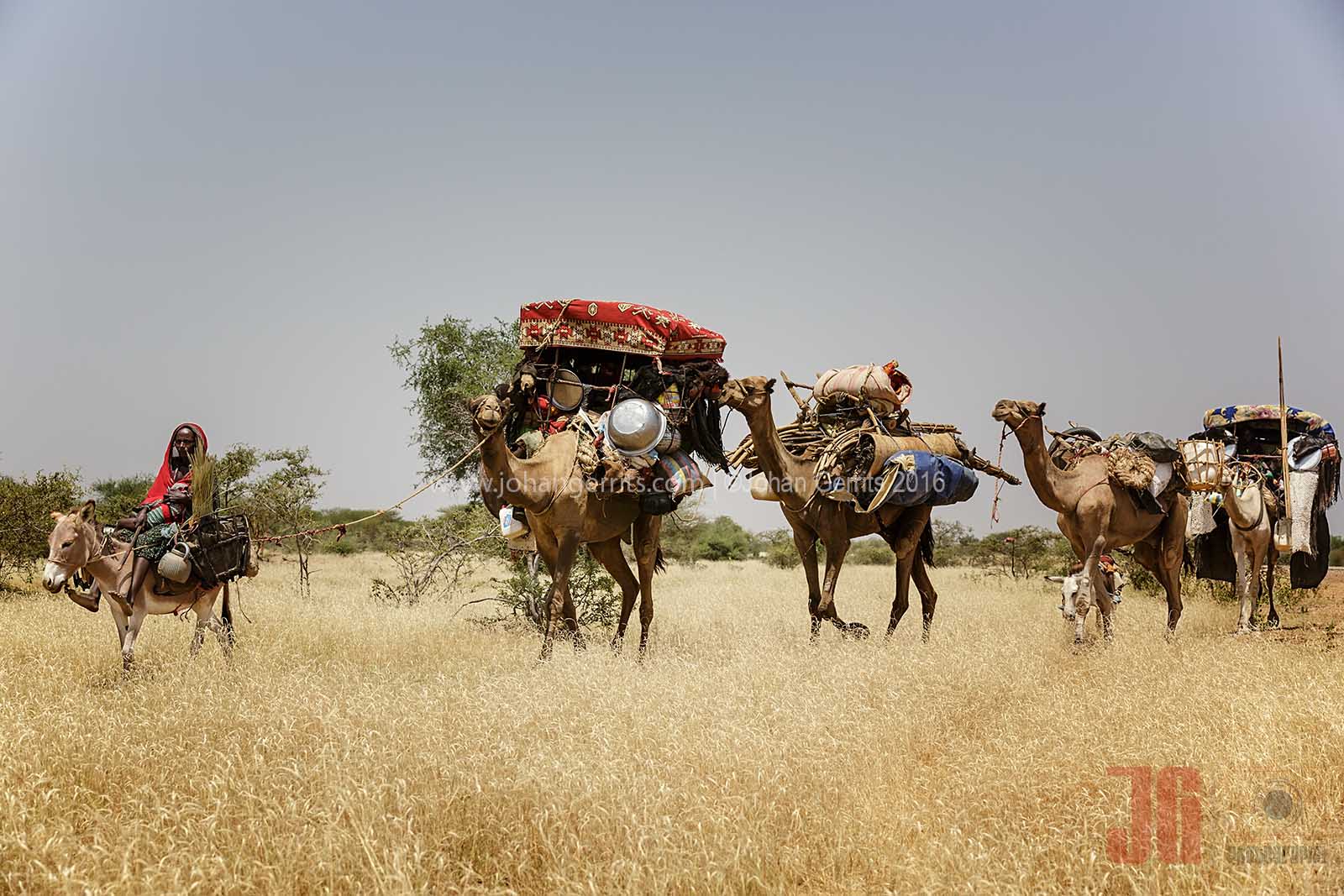 Zaghawa nomads near Abeche - Chad