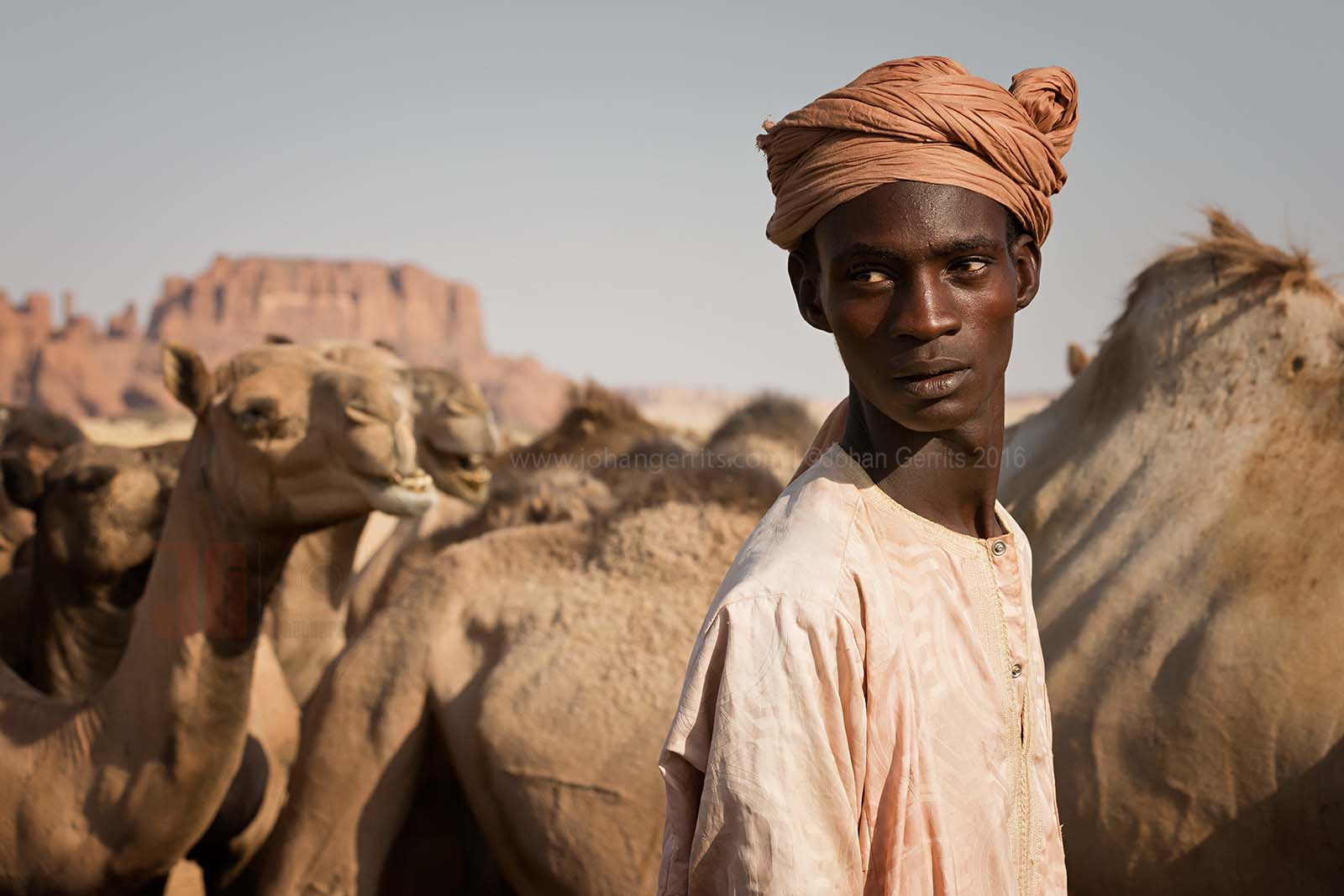 Tubu (Toubou) nomad with his camels at a well near Terkei - Ennedi - Chad