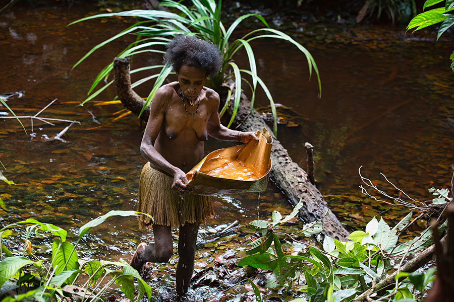 The Korowai People West Papua